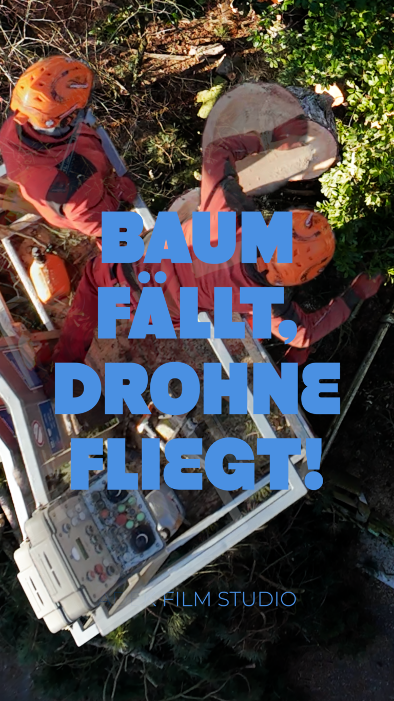 galabau conrad thumbnail 3