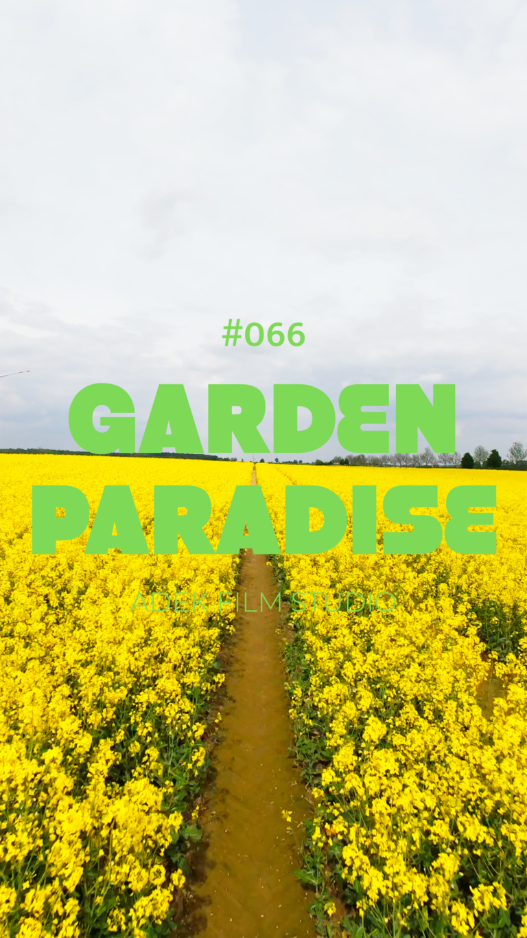 garden paradise #066